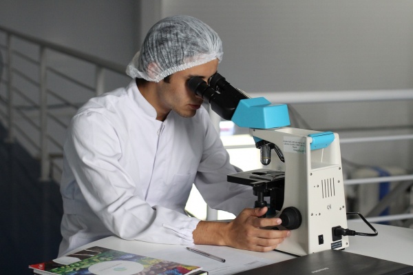 european scientists night 2019