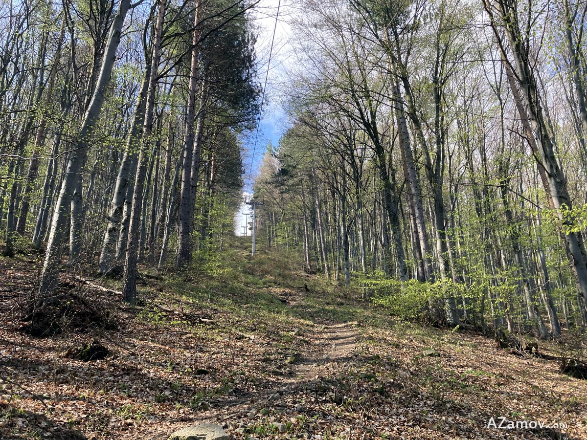 a spring hike from dragalevtsi to hut aleko