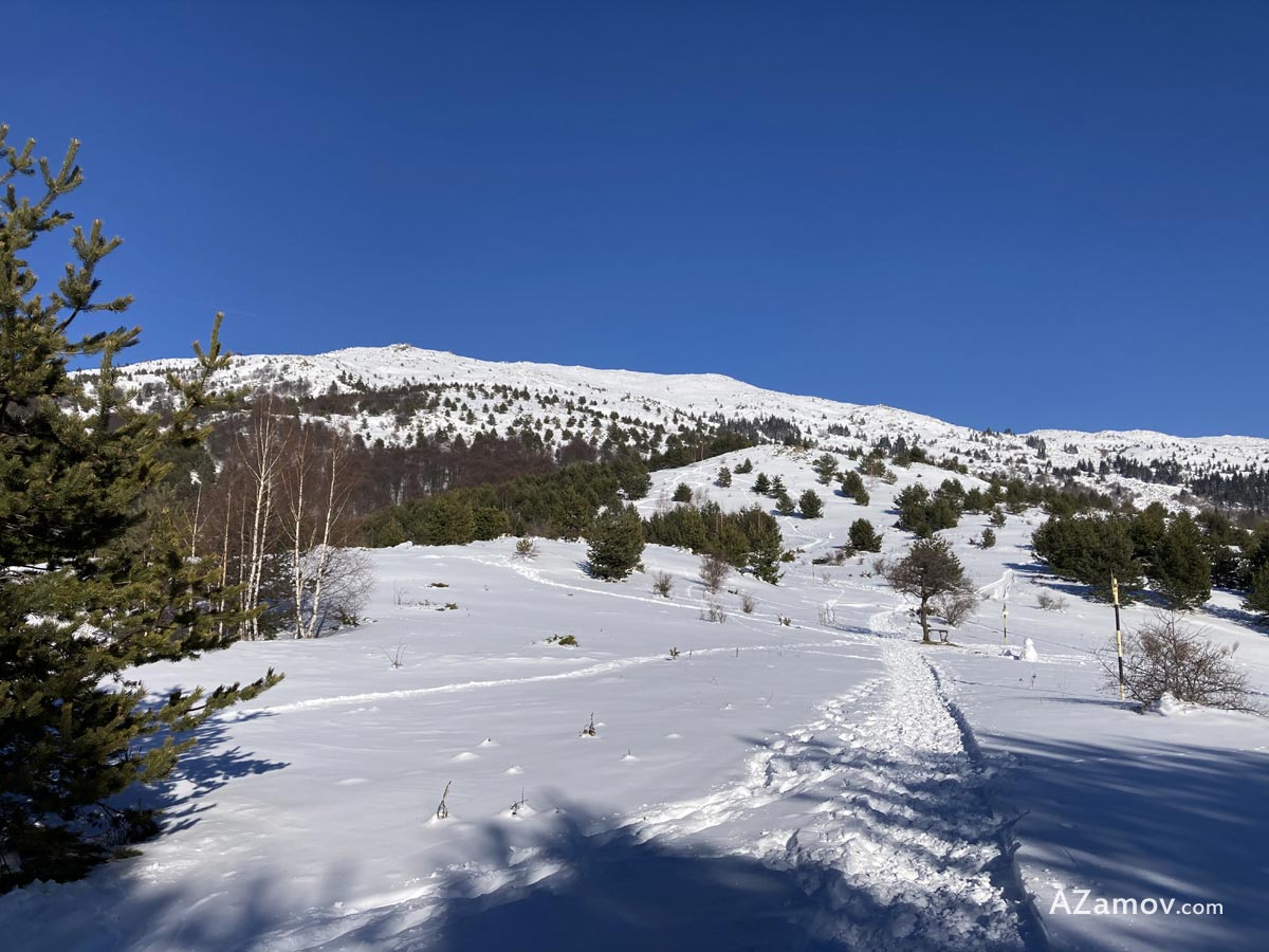 hiking to peak gola mogila from kladnica
