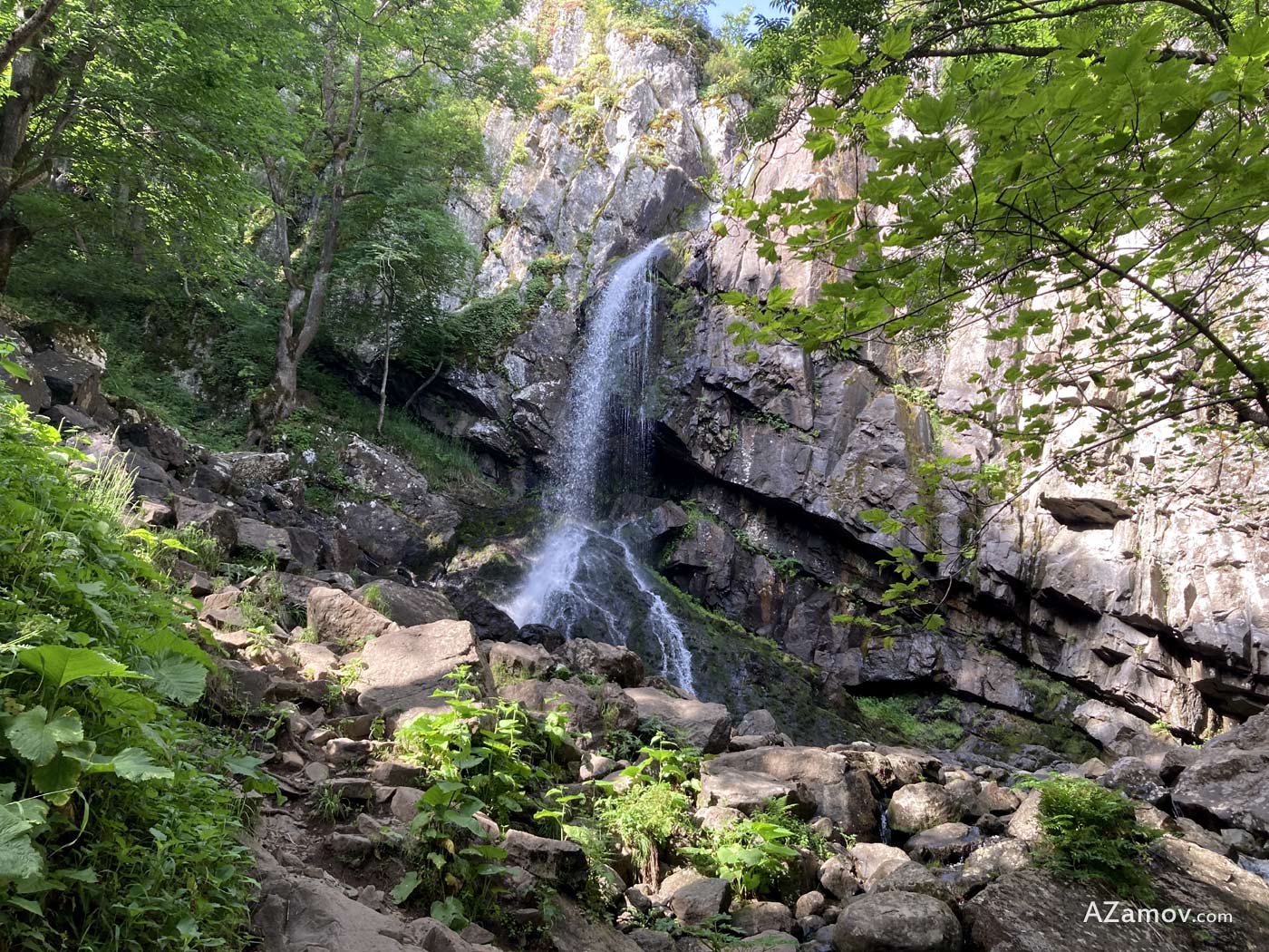 a hike to the golden bridges, hut momina skala and boyana waterfall