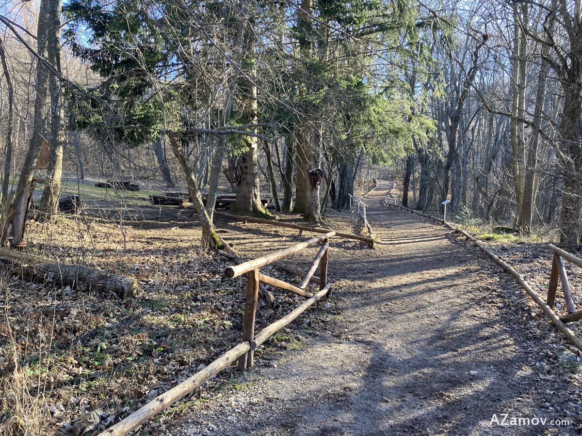 hiking to the dendrariuma area and the golden bridges