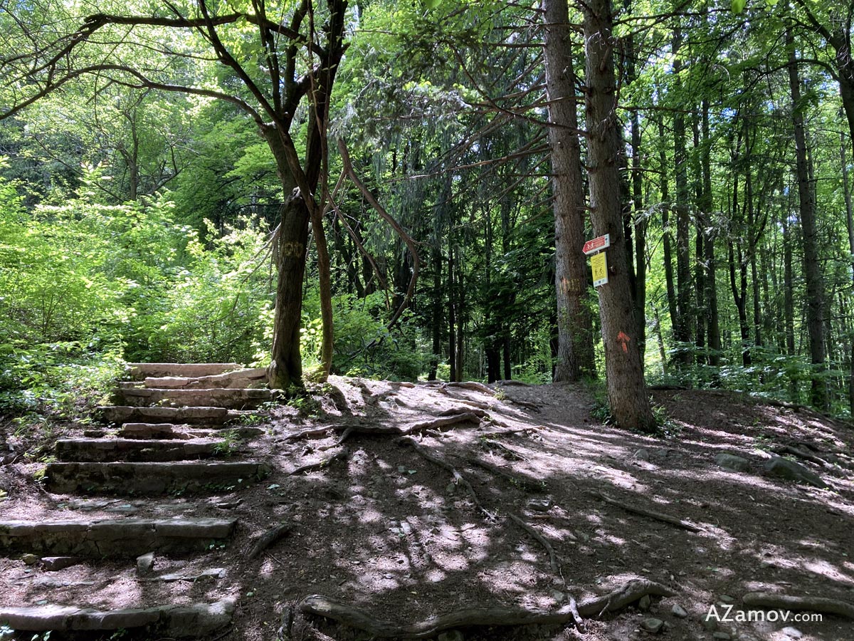 the trail from dragalevci to boyana