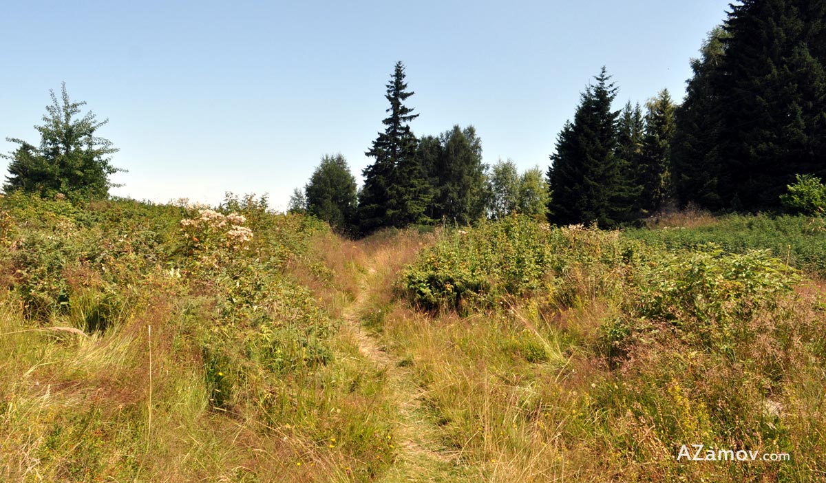 a long hike to hut selimica from boyana