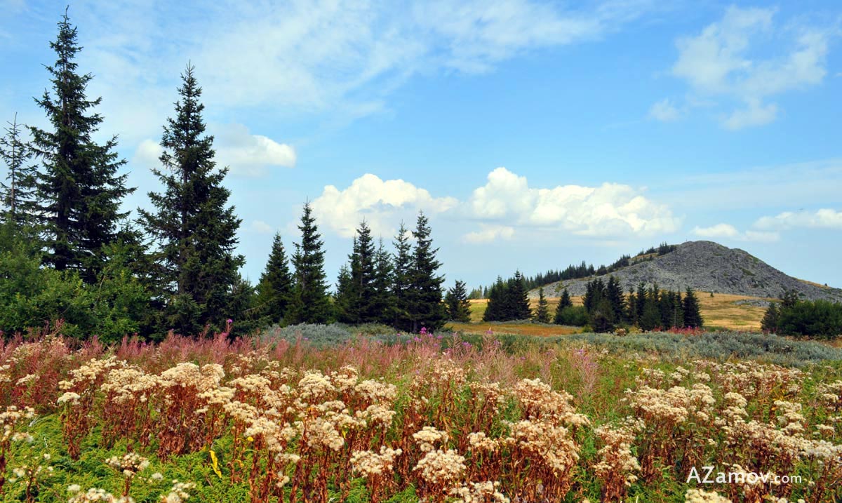 hiking from jeleznica to the highest peak in vitosha mountain