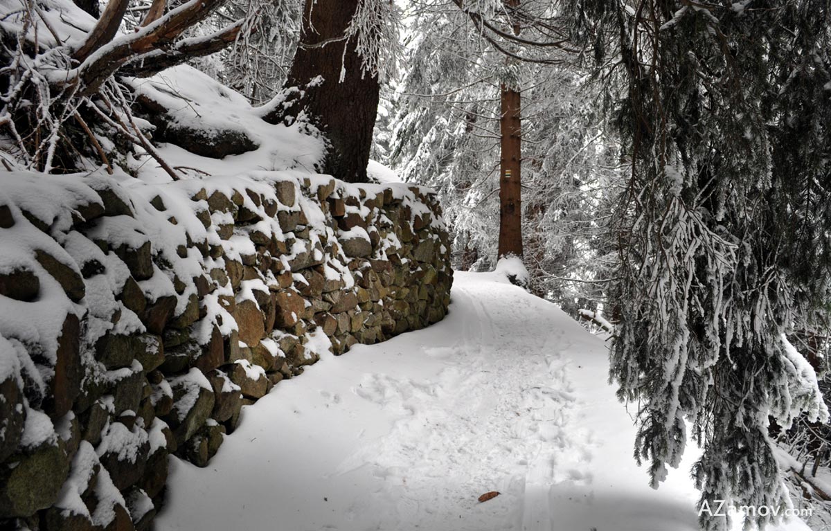 a winter hike from bistrica to hut aleko