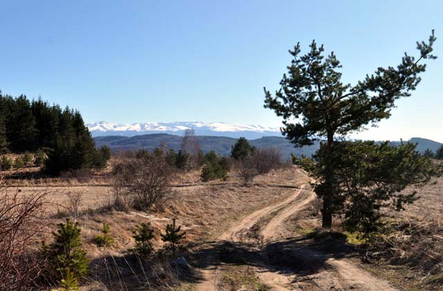 plana mountain