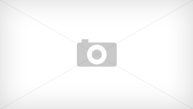 an example of a javascript function to print the content of a div