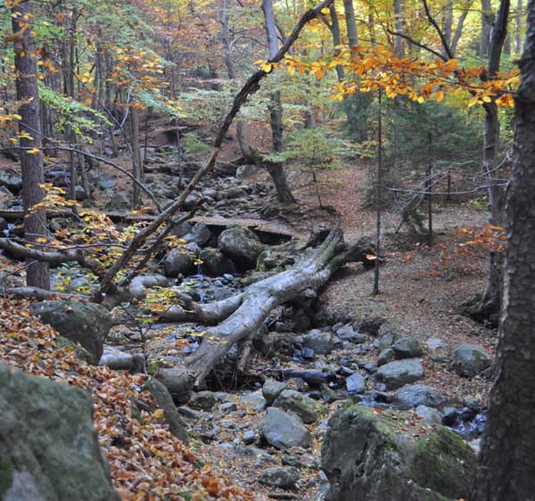 vitosha hiking trails