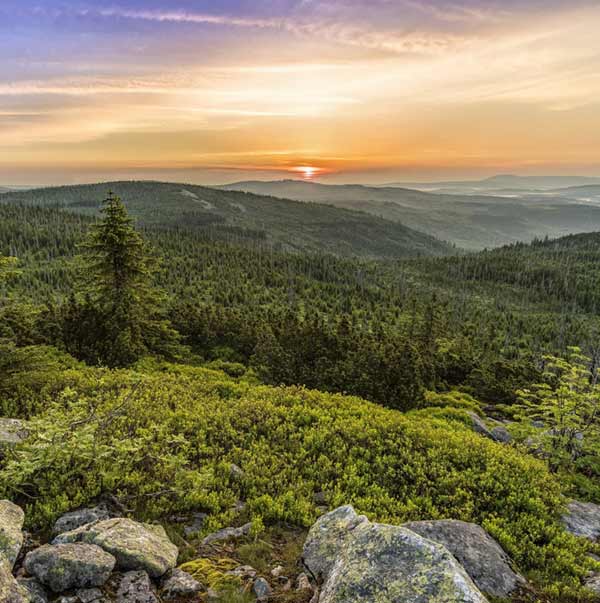 vitosha mountains sofia hiking