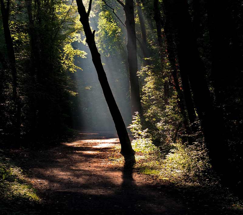Sofia Hiking Trails in Vitosha