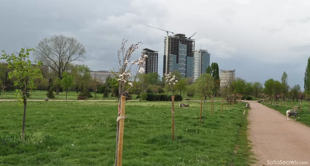 the park near the city center mall