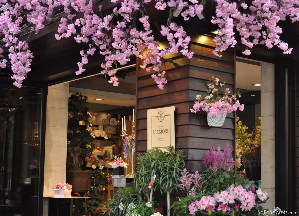 the most beautiful and well decorated flower store in sofia