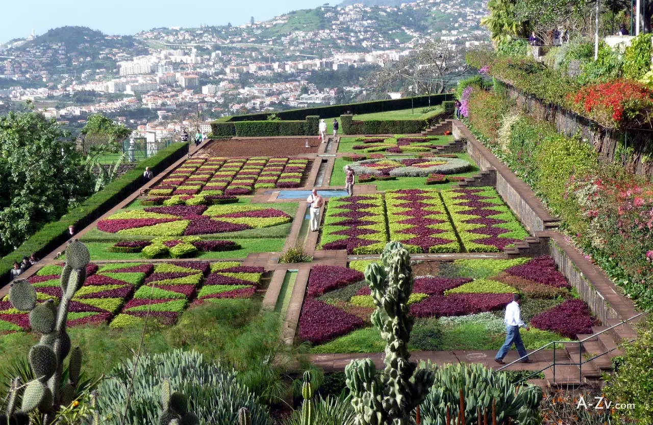 the beautiful island of madeira, portugal